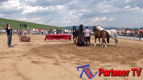 VIDEO. Festivalul Haidook Summer Fest de la Runcu, o reuşită
