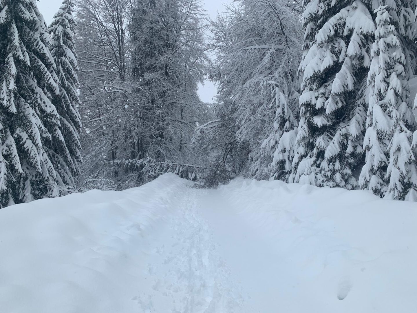 Zona montană Moroeni-Padina-Peştera este blocată. DJ 714 Moroeni-Padina-Peştera ÎNCHIS circulaţiei
