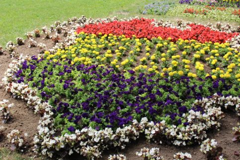 Primăria Municipiului Târgoviște organizează, în perioada 6 – 8 septembrie 2019, a III-a ediție a Festivalului – Concurs „Grădinile Internaționale ale Târgoviștei”
