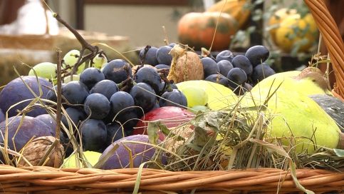 VIDEO. La Dragodana s-a sărbătorit cum se cuvine toamna, anotimpul recoltei