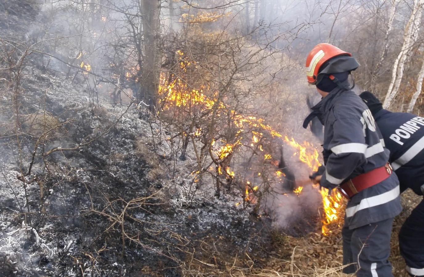De aproape 6 ore, 8 pompieri de la Garda de Intervenție Fieni, alături de 10 pompieri voluntari din cadrul SVSU Buciumeni și 5 sivicultori din cadrul Ocolului Silvic Pucioasa,