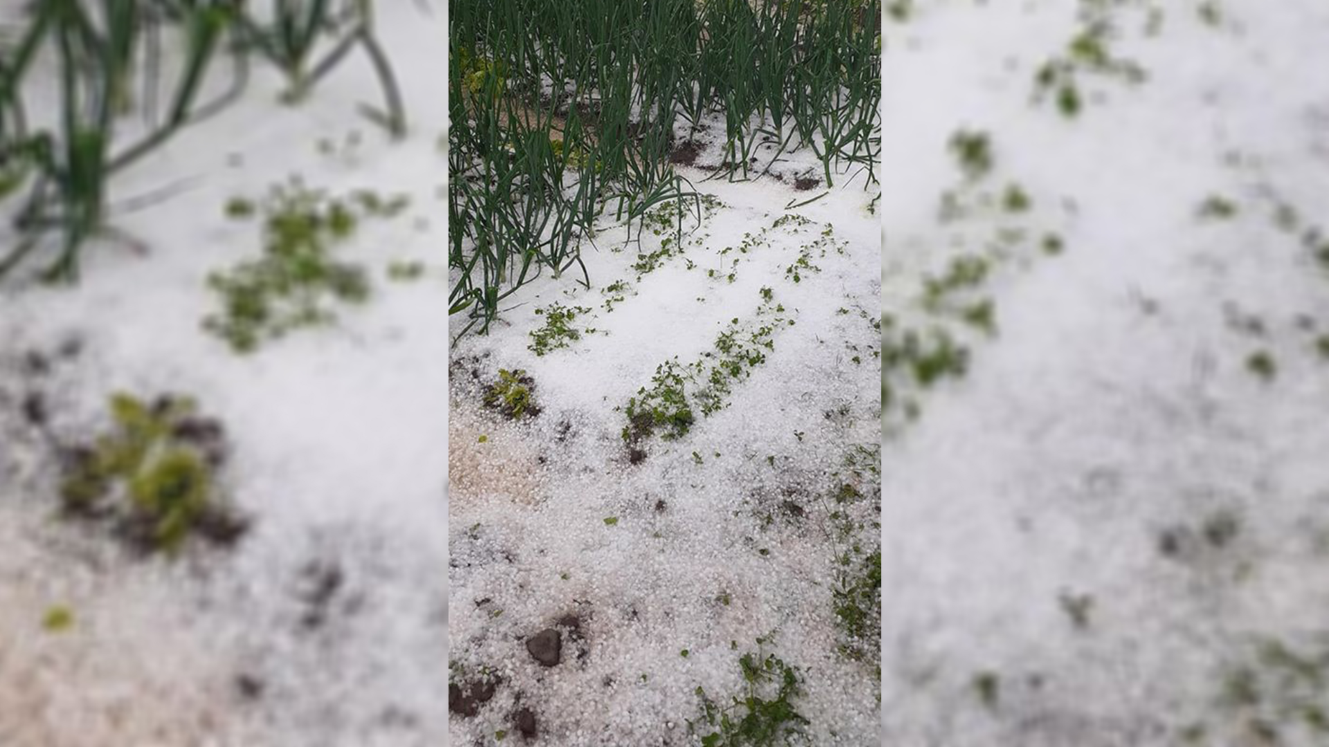 Capriciile vremii își spun cuvântul în județul Dâmbovița. In intervalul 30 mai,ora 12:15 până la 30 mai, ora 15:00, este în vigoare o atenționare cod galben de ploi, grindină și descărcări electrice.