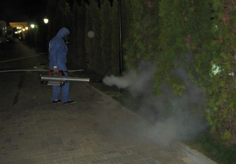 Târgoviște: PRIMA ACȚIUNE DE DEZINSECȚIE DIN ACEST AN
