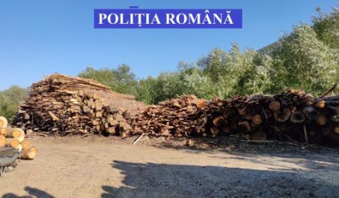 CONTROALE ȘI VERIFICĂRI PENTRU PROTEJAREA PĂDURII