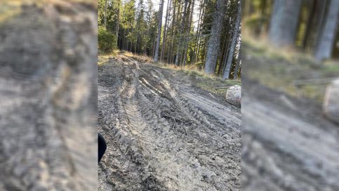 AVERTISMENT DUR din partea președintelui CJ, Corneliu Ștefan către reprezentanții exploatărilor forestiere: PE CHELTUIALA LOR, și, TOT PE BANII LOR, vor reface DJ 714, tronsonul dintre comuna Moroeni, sat Glod, și Zănoaga, porțiune de drum distrusă de camioanele exploatațiilor forestiere din zonă.