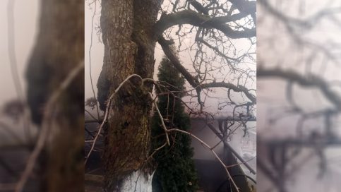 Incendiu la o casă din Malu cu Flori