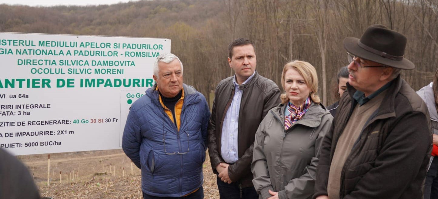 Prefectul județului, președintele CJ,conducerea Direcției Silvice Dâmbovița, elevii,sivicultorii și jandarmii au plantat 5.000 de puieți de gorun, stejar și frasin