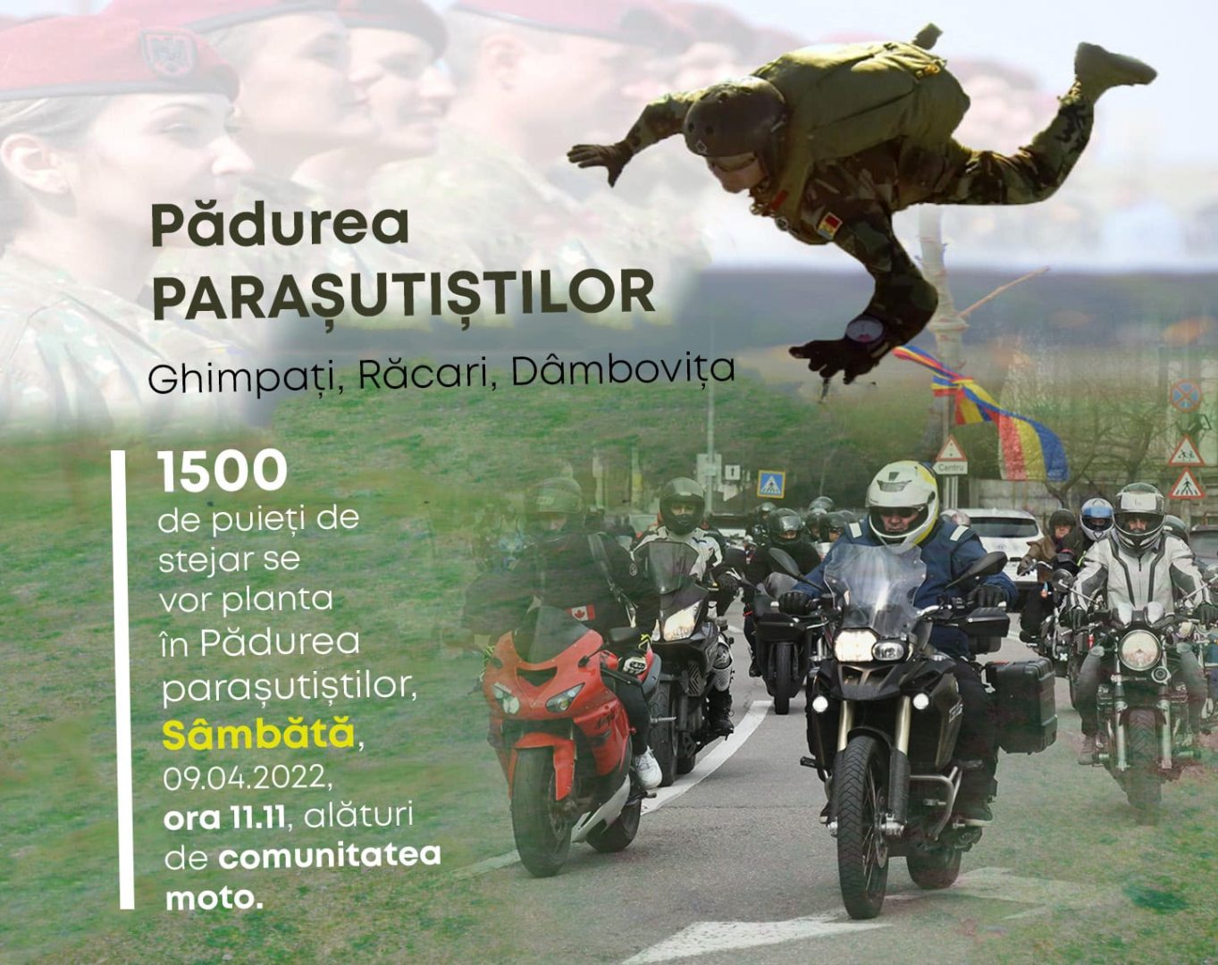 La Răcari, în PĂDUREA PARAȘUTIȘTILOR se vor planta 1500 de puieți de stejar, fac front comun Primăria Răcari, localnicii, militarii în rezervă ai fostului Regiment 64 parasutiști din Boteni și comunitatea Moto