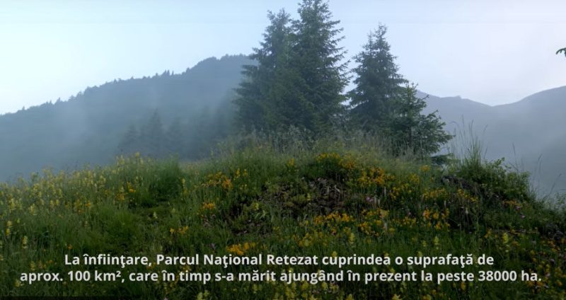 24 mai, Ziua europeană a parcurilor naţionale