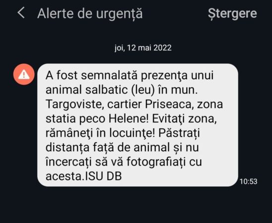 RO-ALERT, ALERTĂ DE GRADUL ZERO în municipiul Târgoviște, cartier Priseaca, un leu este în libertate, animalul a fost văzut în zona unei stații PECO.