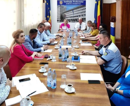 Prefectul Claudia Gilia a avut prima întâlnire cu Grupul de Lucru Mixt pentru Problemele Romilor