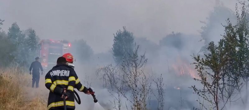 62 de incendii de vegetație în ultima săptămână în Dâmbovița