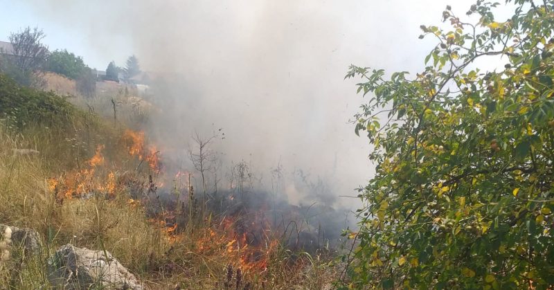 PRĂPĂD, ard câmpurile în Dâmbovița, STOP incendiilor de vegetație!