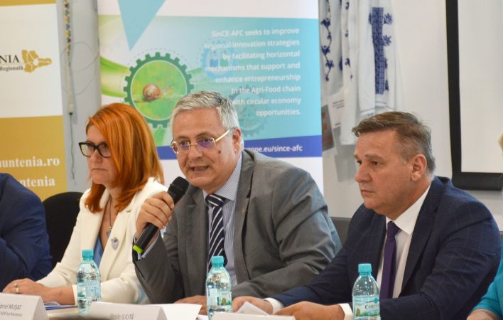 Eveniment național de diseminare a Proiectului SinCE-AFC