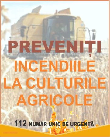 La Tărtășești, pompierii au salvat o cultură de grâu și pădurea din apropiere de focul care ardea pe o miriște