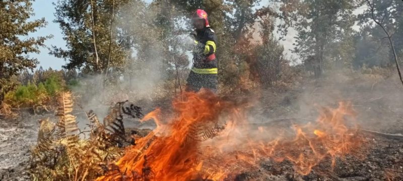 Lupta pompierilor cu incendiile de pădure din Franța!
