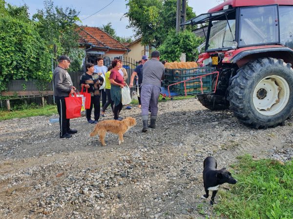 Pâinea dusă cu tractorul Primariei, 50 de familii sunt izolate în comuna Malu cu Flori, zona Micloșanii Mici- Micloșanii Mari. VIDEO