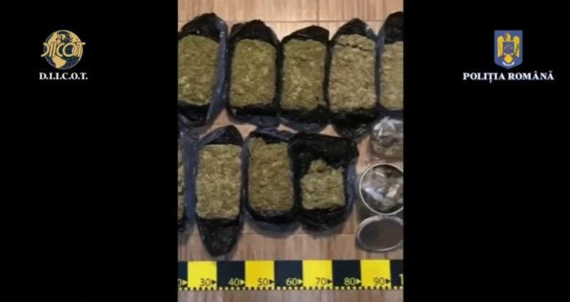 13 percheziţii, au fost depistate peste 10 kilograme de cannabis, peste 14.000 de euro, pistoale, cuţite şi o colecţie cu mai multe monede numismatice. VIDEO