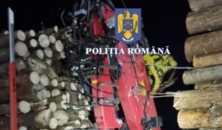 146 de percheziții la mafia lemnului, polițiștii din Dâmbovița participă la acțiuni. VIDEO