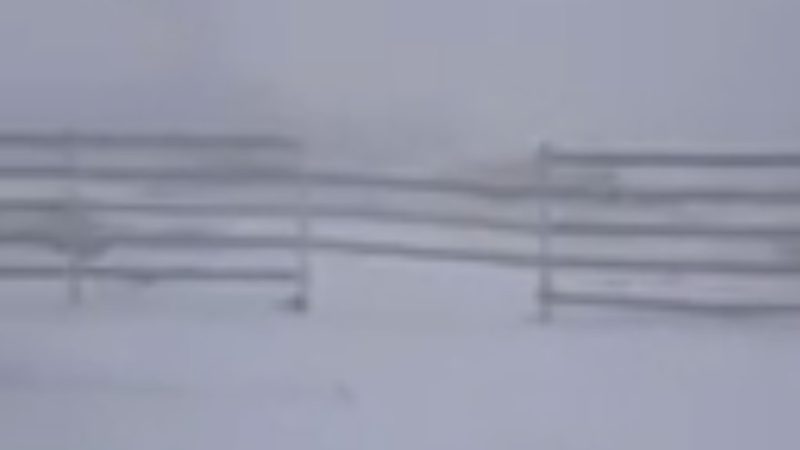 VEȘTI PROASTE, în următoarele zile vremea va fi foarte rece, toamna își ia rolul în serios