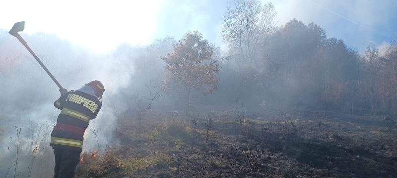 Tătărani: Incendiul de vegetație uscată și litieră pe o suprafață de cca. 15 ha