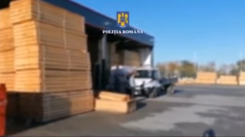 99.200 de metri cubi de material lemnos, 230 de ferăstraie mecanice, 79 de topoare, 109 autovehicule, 1 TAF, 5 arme de foc, 159.850 de lei și alte valute, în valoare de 65.000 de lei, confiscate 