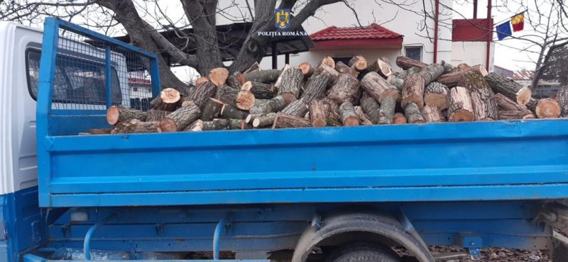 Se fură pe rupte lemne din pădurile dâmbovițene