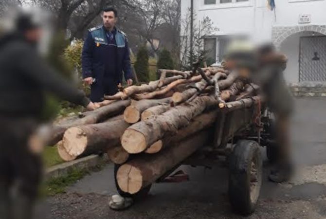 Hoții de lemne în vizorul polițiștilor