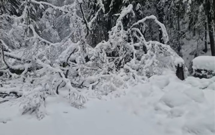 Drum închis din cauza ninsorii, potrivit CNAIR.VIDEO