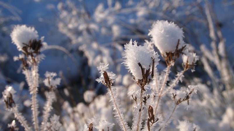 Șoc termic, după temperaturi de până la 20 de grade, vremea se va mai răci în cursul zilei de vineri, 20 ianuarie
