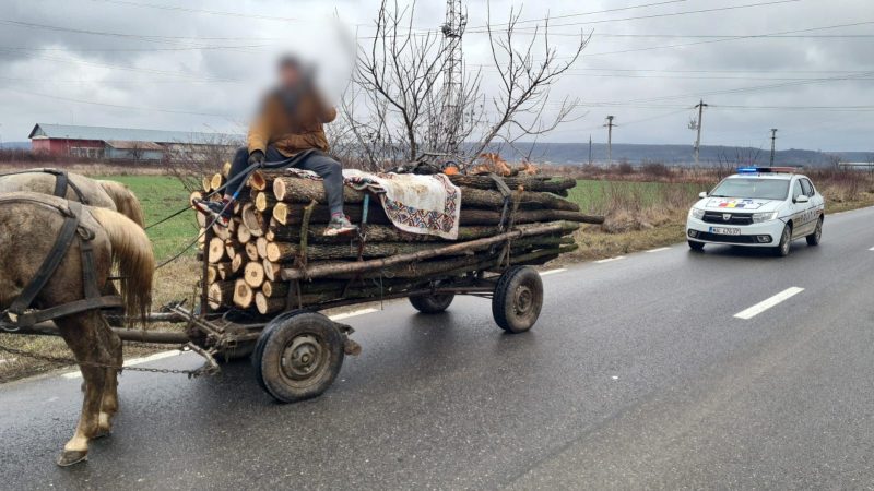 Se fură pe rupte din pădurile dâmbovițene