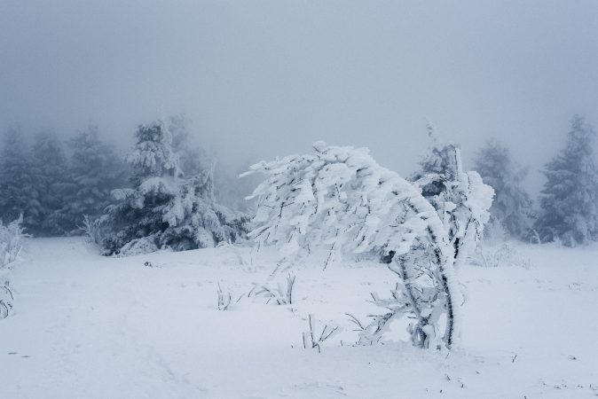 Informare meteo de precipitații, intensificări ale vântului și viscol în zonele montane înalte