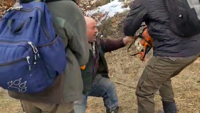HOȚII DE LEMNE AU VRUT SĂ TAIE CU DRUJBA PADURARII, ÎN MOMENTUL CÂND AU FOST PRINȘI LA FURAT. VIDEO