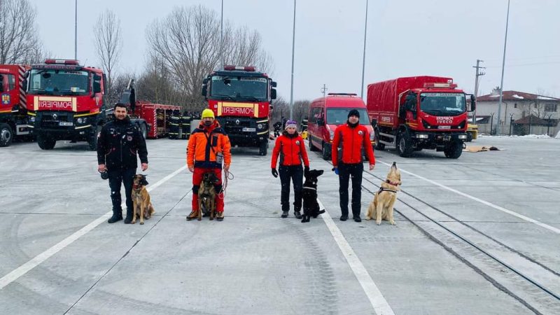 Câini de avalanșă Salvamont România participă la forța USAR dislocată în Turcia