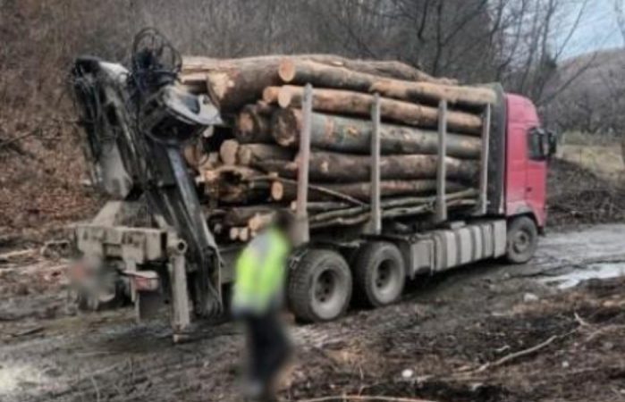Un camion cu lemne a fost depistat de polițiști, fără documente de proveniență a materialului lemnos