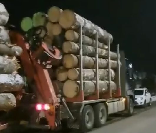 Tras pe dreapta de jandarmi, un camion ce transporta mai mult material lemons decât cel înscris în aviz. VIDEO
