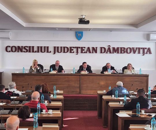 A fost votat bugetul CJ Dâmbovița pentru anul 2023