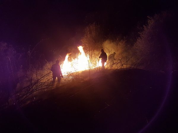 INCENDIU de vegetație la Doicești. NU MAI DAȚI FOC, JUDEȚUL DÂMBOVIȚA este sub COD GALBEN de VÂNT