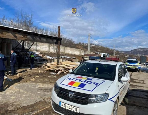 Ample controale în județul Dâmbovița privind transportul, comercializarea și prelucrarea materialului lemnos