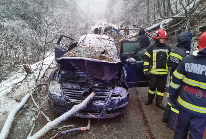 Tragedie, vântul puternic a rupt un copac și l-a prăbușit peste o mașină care trecea prin zonă, un copil și-a pierdut viața