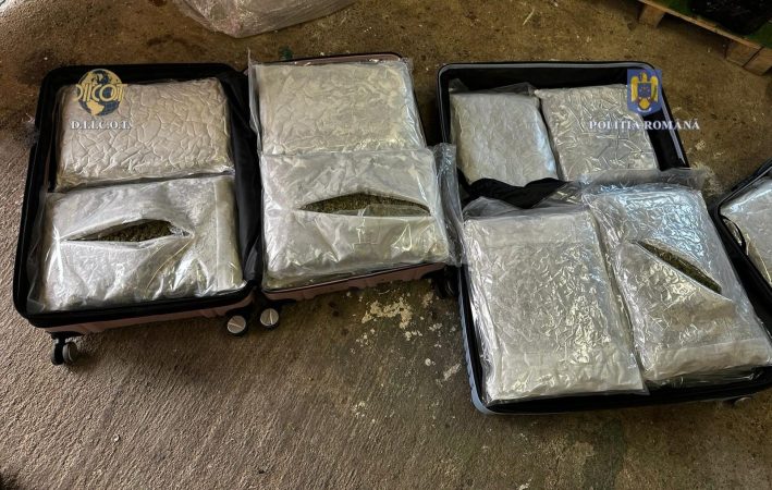 Operațiune antitrafic de droguri: Bărbat arestat pentru introducerea în țară a 37 de kilograme de canabis