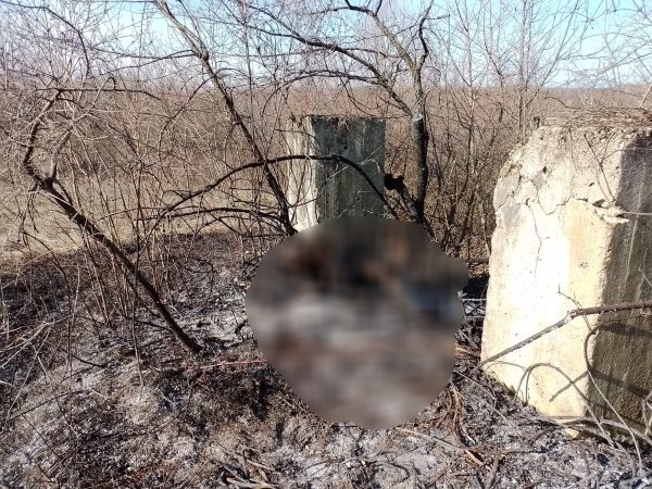 TRAGEDIE LA Răzvad: Bărbat carbonizat într-un incendiu de vegetaţie în zona Valea Pietrei. STOP INCENDIILOR!