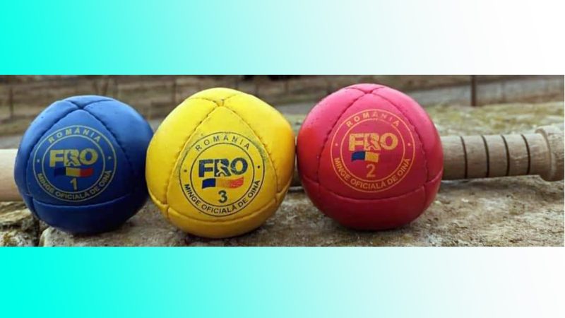 Oina este sportul naţional al României, Programul naţional „Redescoperă oina”
