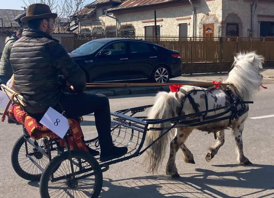 “Tudorița” sau „Paștele cailor”, tradiție păstrată cu sfințenie la Târgoviște, de către comunitatea bulgară din cartierul Matei Voievod, în  fiecare an, în sâmbăta Sfântului Teodor, prima din postul Paștelui.
