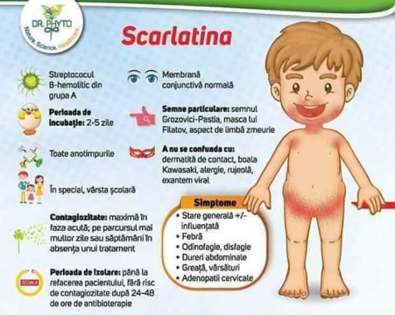 ALERTĂ,FOARTE MULTE CAZURI DE SCARLATINĂ