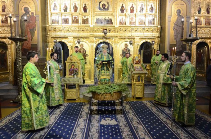 Duminica Floriilor sau Duminica Vlăstarelor