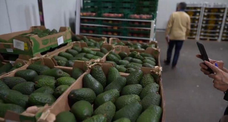 Acțiune fulger în depozitele de fructe și legume din Dâmbovița și Ilfov