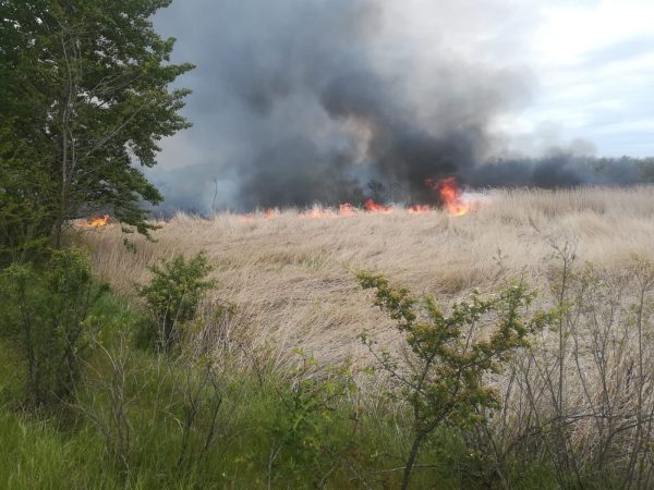 Incendiu de vegetație produs în comuna Petrești, sat Greci