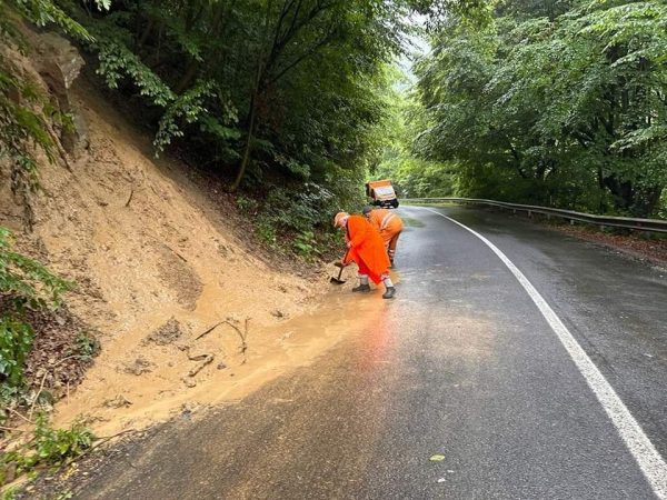URGIA NATURII! COD ROȘU de FURTUNI în județele Mehedinți, Caraș-Severin și zona de munte a județelor Gorj și Hunedoara