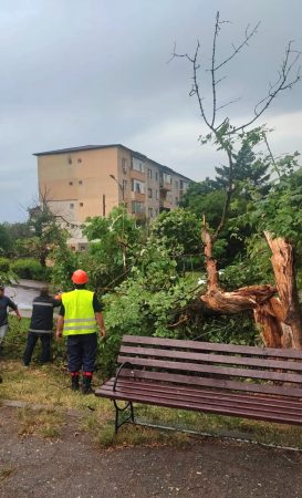 Natura s-a dezlănțuit,mai mulți copaci au fost rupți de vânt, în municipiul Târgoviște